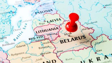 Belarus mulls switching to domestic poultry genetics
