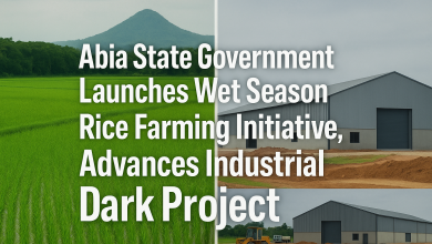 Abia State Government Launches Wet Season Rice Farming Initiative, Advances Industrial Park Project