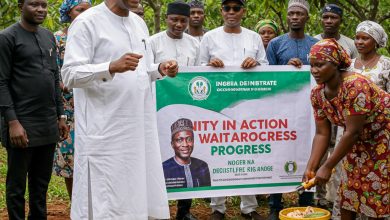 Aiyedatiwa Urges Collaborative Action to Revitalize Nigeria's Cocoa Production