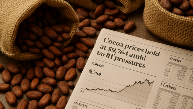 Cocoa Market Remains Firm at $9,764 Amid Tariff Headwinds