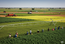 Dangote, Niger Govt Seal Multi-Billion Naira Deal to Revolutionize Agriculture