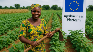 EU launches agribusiness platform to drive inclusive growth and food security in Nigeria’s agriculture