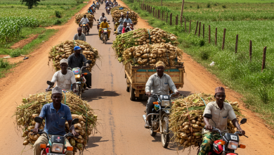 Expert Commends Gombe Governor's Focus on Rural Roads for Agricultural Advancement