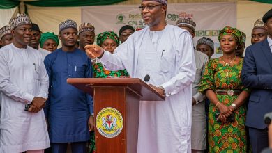 Ogun State Launches Special Agro-Industrial Processing Zones to Boost Agriculture
