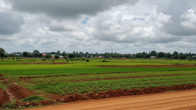 Osun Government Dispels Mining Eviction Fears, Clarifies Farmland Activities as Resource Survey