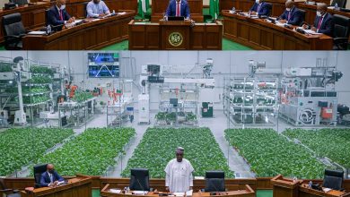 Reps move to enhance Agric innovation in rural areas