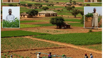 Zamfara Farmers, Communities Trained in Climate-Smart Agriculture for Resilience